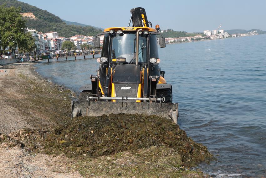 ÇINARCIK’TA YOSUNLARA KARŞI TEMİZLİK SEFERBERLİĞİ