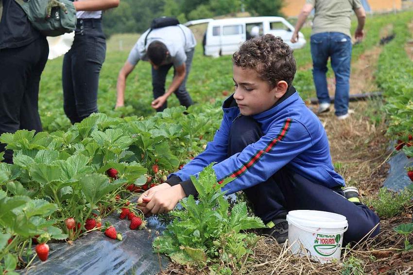 ÇKS BAŞVURULARI 31 ARALIKTA SONA ERECEK