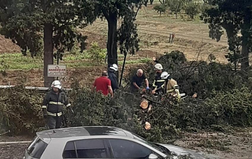 FIRTINA NEDENİYLE DEVRİLEN AĞAÇ YOLU TRAFİĞE KAPADI