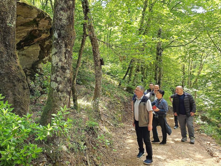 GÜNEY KORE'DEN UZMANLAR YALOVA'DA TERAPİ ORMANI POTANSİYELİ ARAŞTIRDI