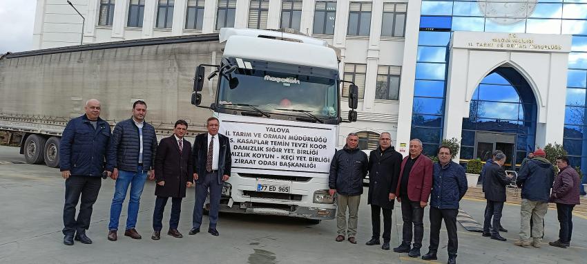 HAYVAN ÜRETİCİLERİNE YALOVA’DAN YARDIM ELİ