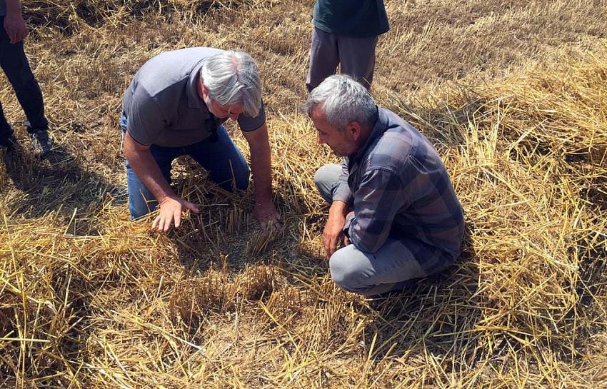 KÖYLERDE HUBUBAT HASADI KONTROLÜ VE ANIZ YAKIMI UYARISI