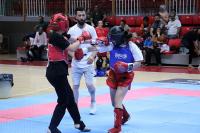 YALOVA ŞEHİR OYUNLARI KENT KUPASI WUSHU MÜSABAKALARIYLA SON BULDU