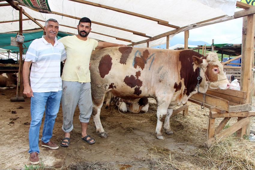 KURBAN PAZARININ ŞAMPİYONU, “ŞAMPİYON”