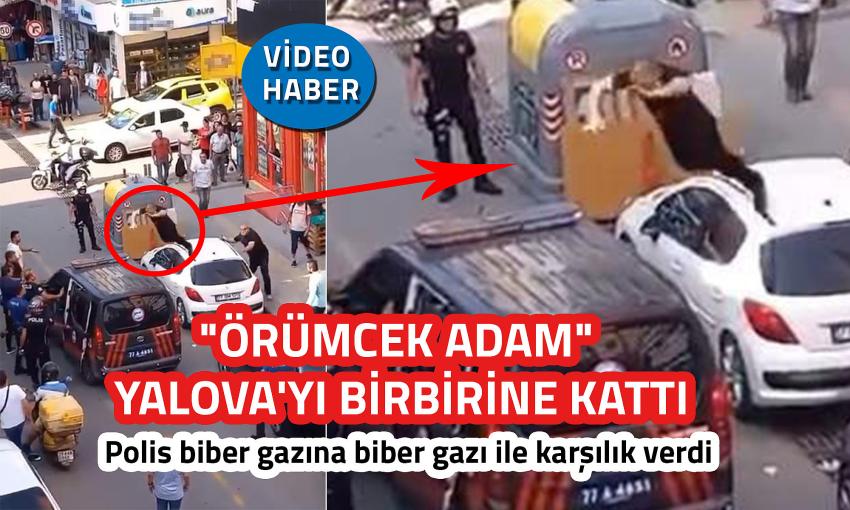 “ÖRÜMCEK” ADAM YALOVA’YI BİRBİRİNE KATTI