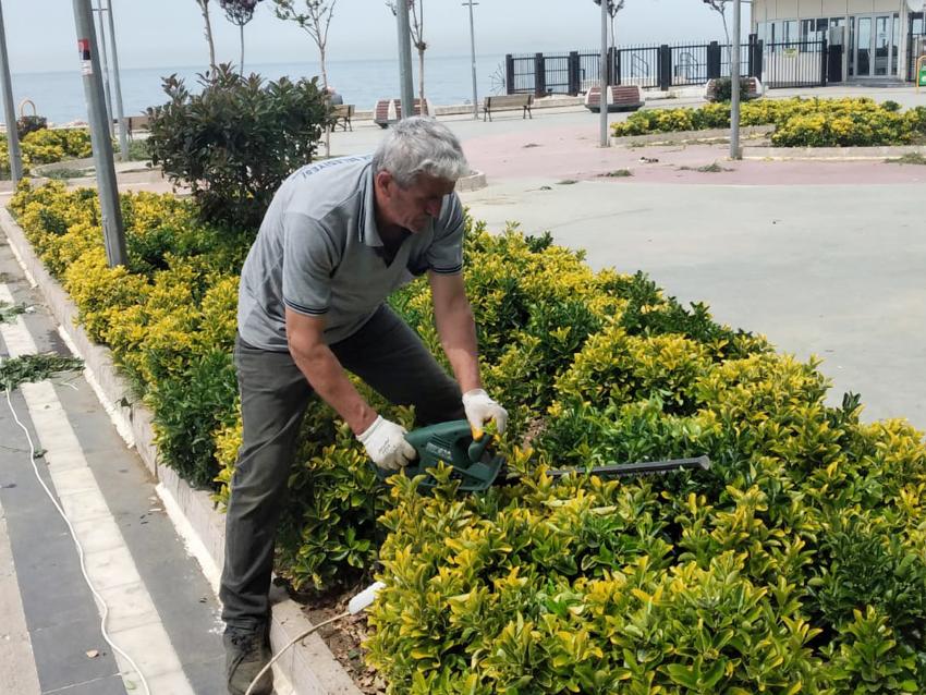 PARK VE BAHÇELER YAZ HAZIRLIĞI