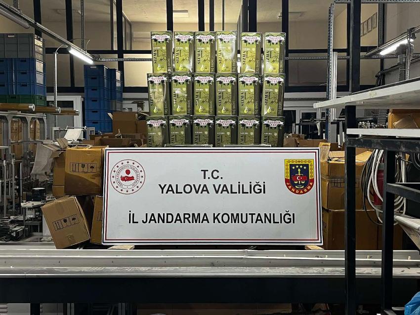 YALOVA’DA 33 TON TAKLİT ZEYTİNYAĞI YAKALANDI