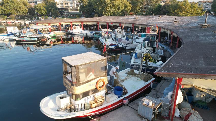 YALOVA'DA BALIKÇIKLAR HAMSİDEN UMUTLU